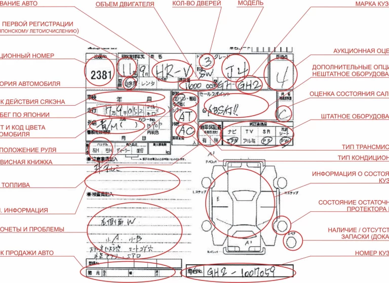 Расшифровка аукционного листа